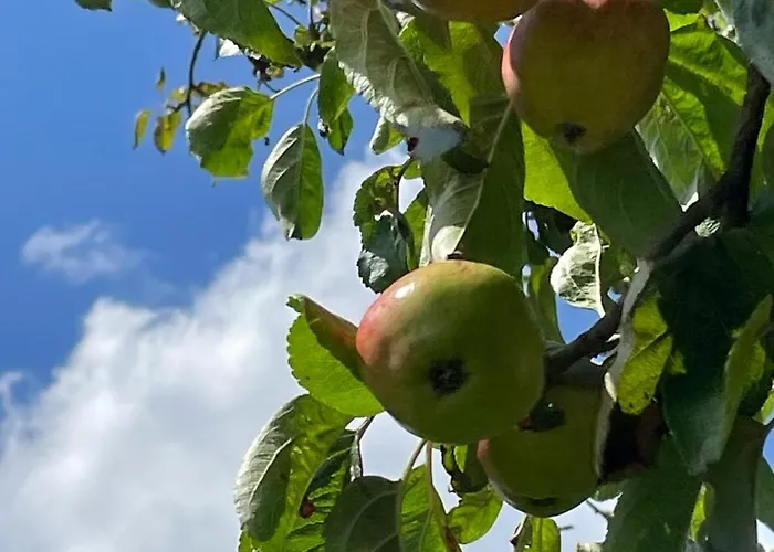 Kemping The Deer Hut At Carr House Farm Scarborough