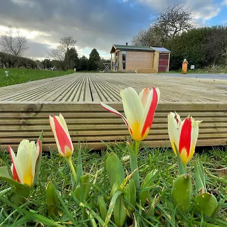 Campingplads The Deer Hut At Carr House Farm *