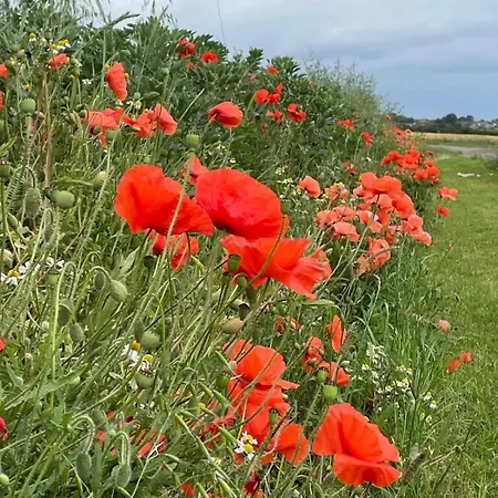 The Deer Hut At Carr House Farm Campingplads *