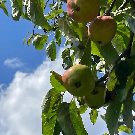 Campingplads The Deer Hut At Carr House Farm Scarborough