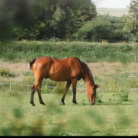 The Deer Hut At Carr House Farm *