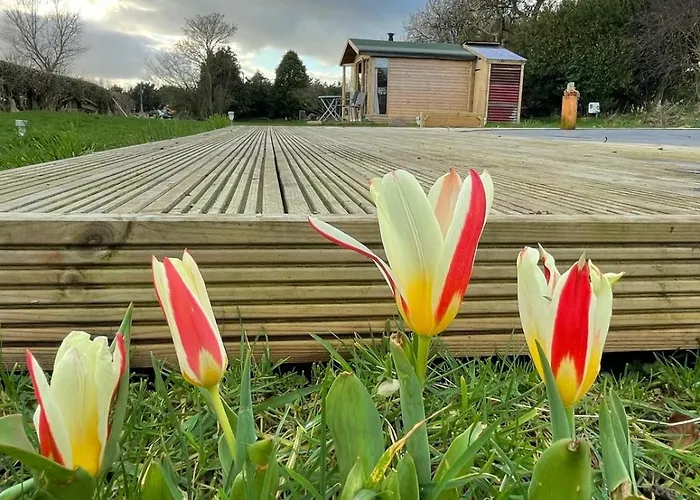 Kemp The Deer Hut At Carr House Farm *