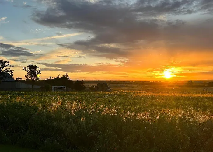 Kemp The Deer Hut At Carr House Farm *
