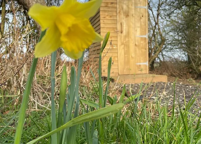 The Deer Hut At Carr House Farm Kemp *